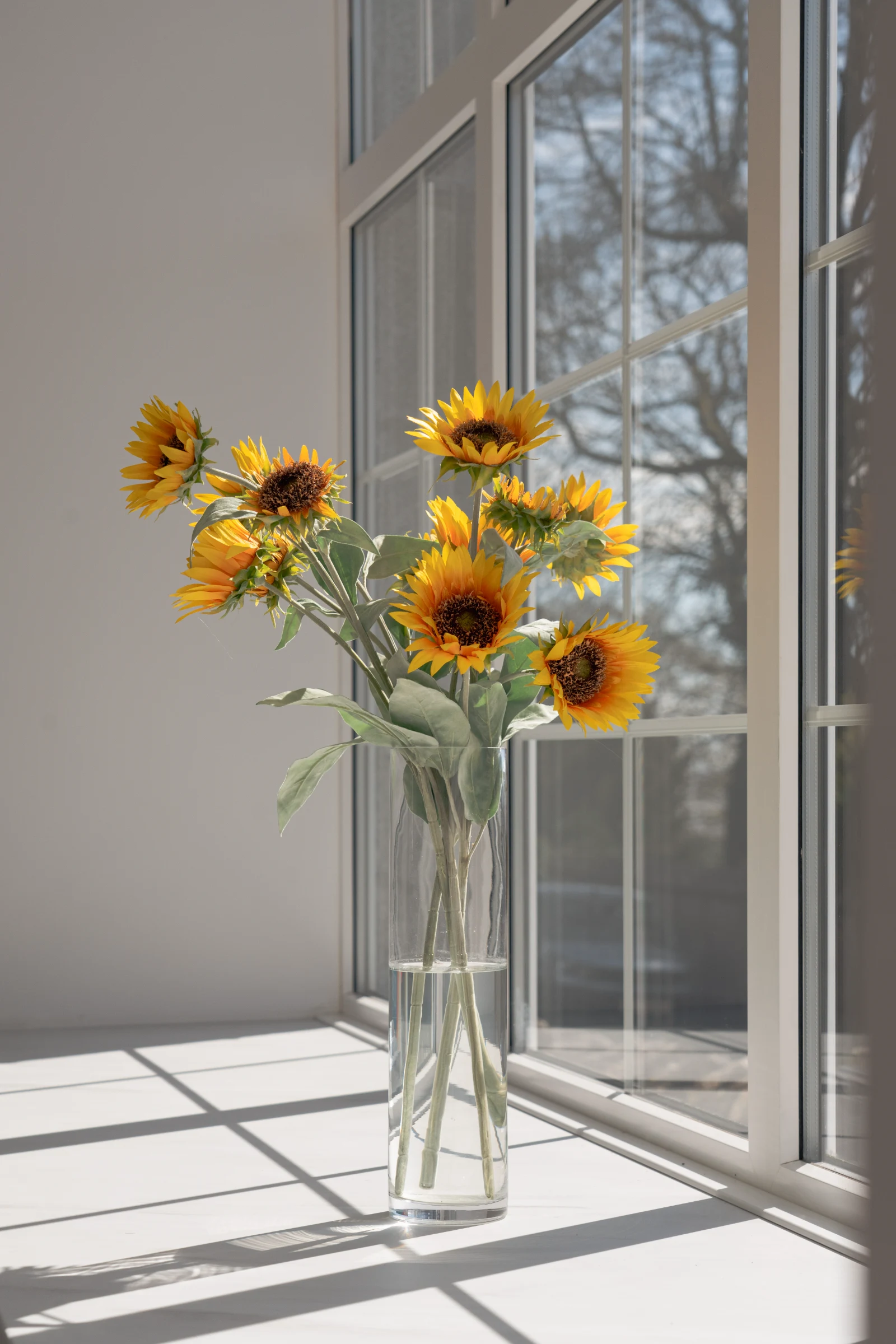 Toal Photography Services gallery image